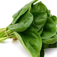 Паркер F1 - насіння шпинату, 500г., Libra Seeds