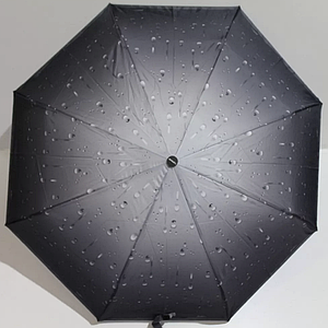 Парасолька складана напівавтомат, TOP RAIN 002056, асортимент