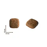 Home Food сухий корм для дорослих активних собак та юніорів малих порід ягня з рисом 10 кг, фото 2