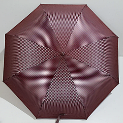 Парасолька складана напівавтомат, TOP RAIN 002063, асортимент