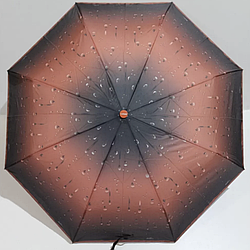 Парасолька складана напівавтомат, TOP RAIN 002056, асортимент