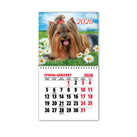 Календар на магніті MKL-38 2026р. ЕУ, фото 1