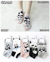 Жіночі короткі шкарпетки з бавовни тм COALO