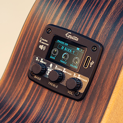 Звукознімач трансакустичний Guitto GGP-04