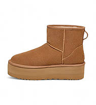 Черевики UGG Classic Mini Platform Boot Chestnut - 1134991-CHE, фото 2