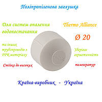 Заглушка поліпропіленова 20 мм Thermo Alliance PPR  PN25 • 90 °C