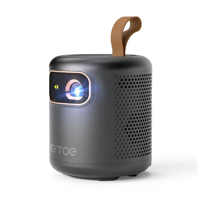 Проектор ETOE Dolphin , Гарантія, фото 1