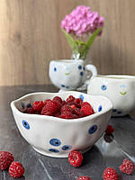 Салатник 300 мл справжня окраса вашого столу з малюнками ягід