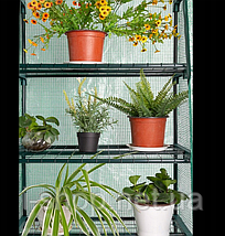Теплица, парник з полицями Avko Garden AGH1403, фото 5