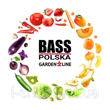 Садова плівка для теплиці 18 м2 (6 х 3 х 2 м) BASS POLSKA, UV-12, Прозора, фото 2