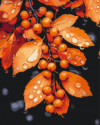 Картина за номерами 40×50 см Мелодія крапель Brushme BS54386