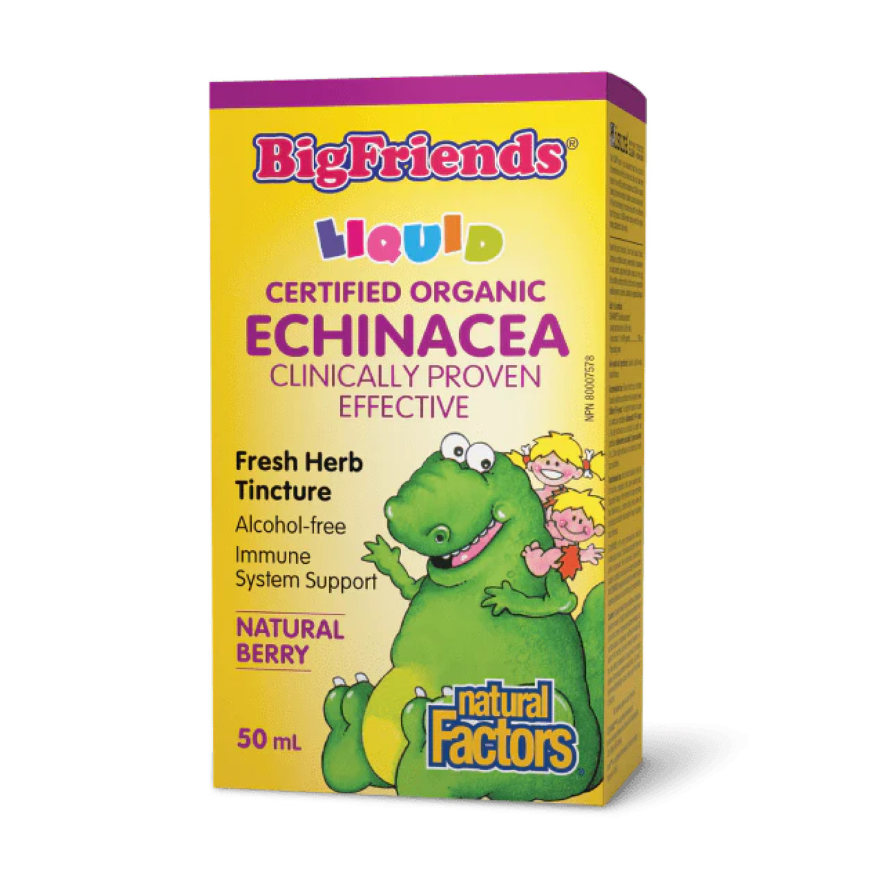 BigFriends Echinacea Alcohol-Free Fresh Herb Tincture for Kids - 50 ml, фото 1