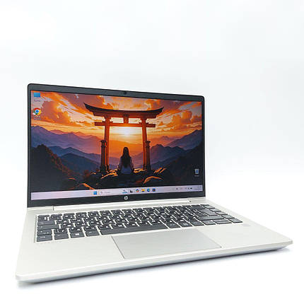 Б/в Ультрабук HP ProBook 445 G8 14" 1920x1080| Ryzen 5 5600U| 16 GB RAM| 256 GB SSD NVMe| Radeon RX Vega 7, фото 1