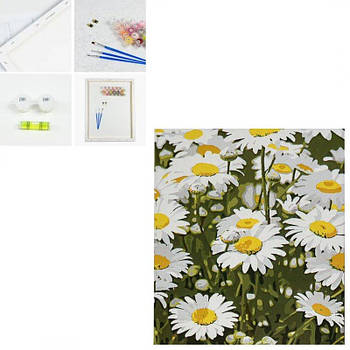 Картина за номерами "Ромашкове поле" SS1201 G-Rich