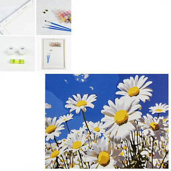 Картина за номерами "Літні ромашки" SS1200 G-Rich