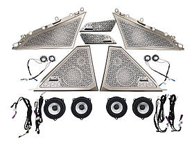 Сітки на динаміки ( Bowers & Wilkins ) Gold на бмв 5 Series G60 / G61 2023-2025 року