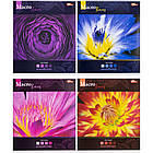 Зошит на 48 аркушів з кольоровою обкладинкою в лінію "Мрії" "mix" Упаковка 16 шт., фото 6