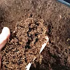 Торф'яний субстрат Классман Klasmann TS1 10 л, фото 5