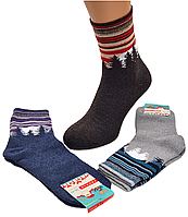 Жіночі махрові шкарпетки Krokus - 21.00 грн./пара (місяць)