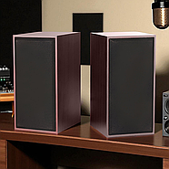 Музичні колонки для комп'ютера 3 Вт на два динаміки 2.0 FT-101, фото 3