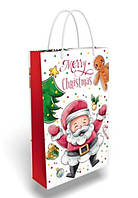 Пакет для подарунків "Merry Christmas" 17 х 27 см