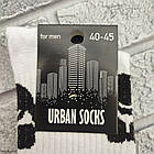 Шкарпетки чоловічі високі весна/осінь р.41-45 яскраве асорті борода URBAN 30039576, фото 6