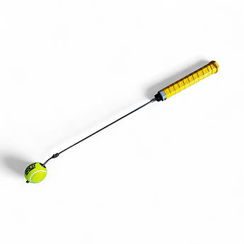 Тенісний тренажер Pointer (+Whip)