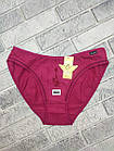 Труси жіночі ростовка р.XL,2XL колір асорті вишивка AONIDAISI 30039564, фото 2