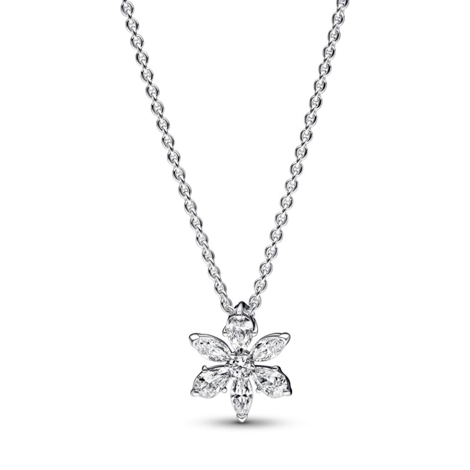 Срібне намисто Pandora «Блискучий гербарій» 392387C01, фото 1