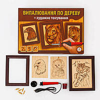Набір для випалювання по дереву Danko Toys WD-01-02U — електровипалювач з насадками, фото 2