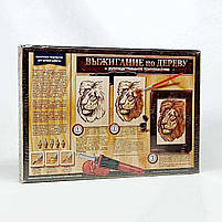 Набір для випалювання по дереву Danko Toys WD-01-02U — електровипалювач з насадками, фото 9