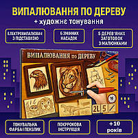 Набір для випалювання по дереву Danko Toys WD-01-02U — електровипалювач з насадками, фото 8