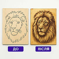 Набір для випалювання по дереву Danko Toys WD-01-02U — електровипалювач з насадками, фото 7