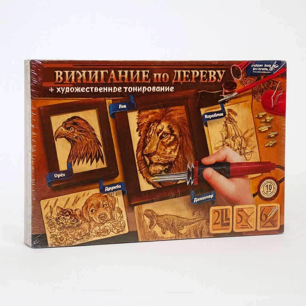 Набір для випалювання по дереву Danko Toys WD-01-02U — електровипалювач з насадками, фото 1