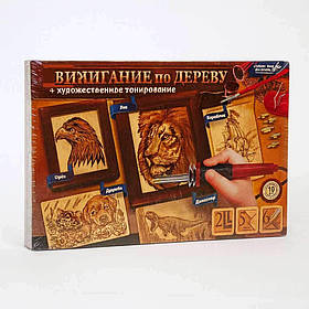 Набір для випалювання по дереву Danko Toys WD-01-02U — електровипалювач з насадками