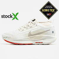 2505 Nike Pegasus Trail 5 Gore-Tex