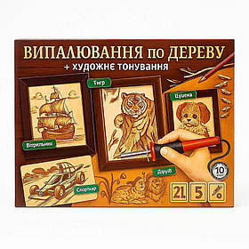 Набір для випалювання по дереву Danko Toys WD-01-01U — електровипалювач з насадками і заготовками