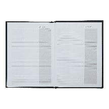 Щоденник BuroMax MODERNA BM.2625-09 А-6 сірий, фото 5