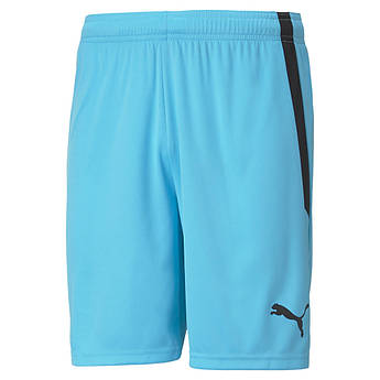 Шорти чоловічі Puma Teamliga Shorts Light Blue 704924-40, Блакитний, Розмір (EU) — L
