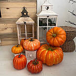 Штучна Декоративна гарбуз, жовтогаряча, 25 см, фото 2