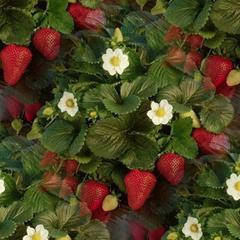 Сорт ампельної полуниці Фреска F1 (5шт)