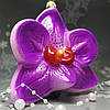 Скляна ялинкова прикраса Фіолетова Орхідея Impuls. асортимент як Irena, Komozja, фото 6