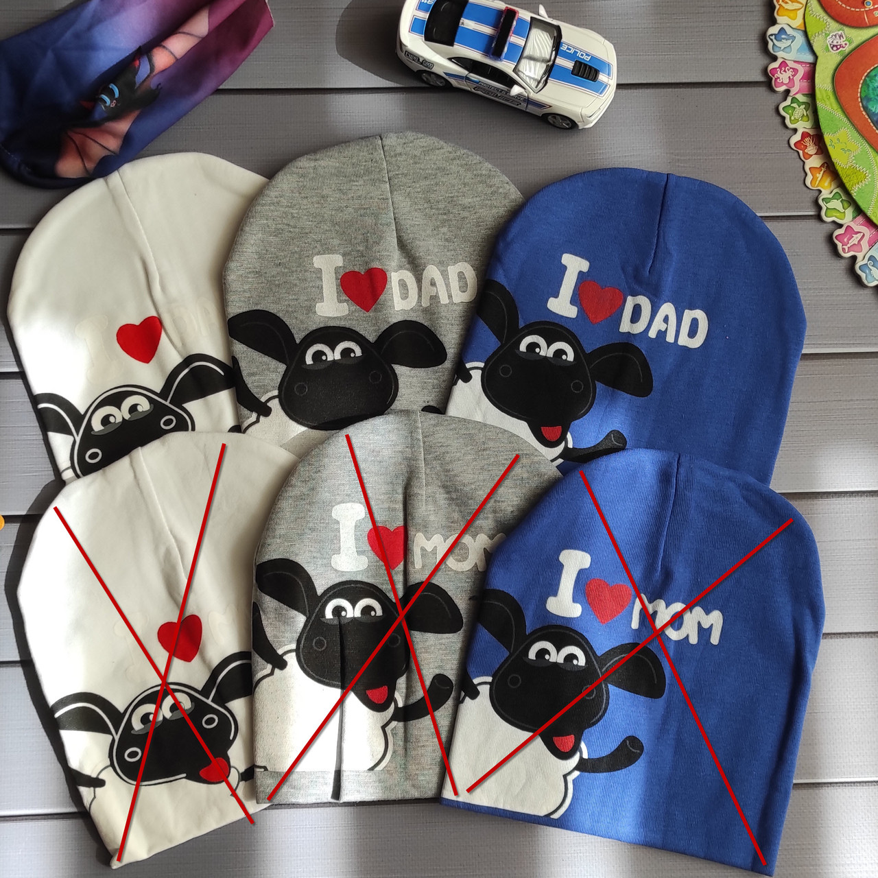 Шапка демісезонна 0010, фото 1