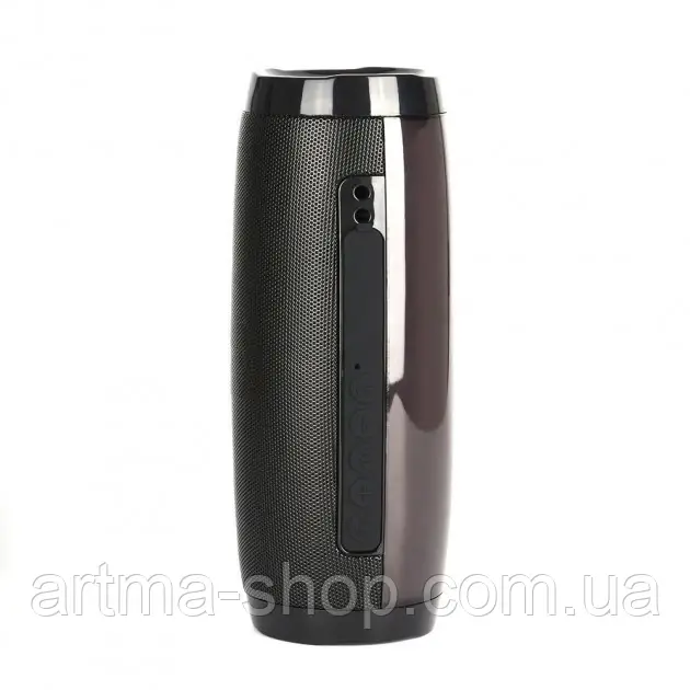 Портативна Bluetooth колонка T&G TG-157, вологостійка, Потужність 10Вт, чорна