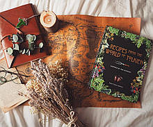 Кулінарна книга рецептів Всесвіту Толкієна, фото 2