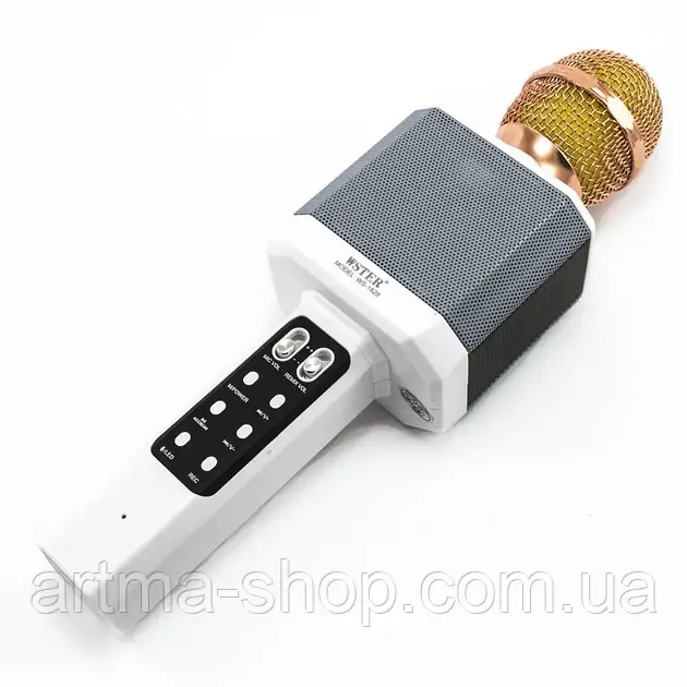 Мікрофон-караоке бездротовий WSTER WS-1828 з можливістю зміни голосу, дитячий, білий