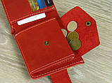 Шкіряне жіноче портмоне BGS червоного кольору BGS3179, фото 3