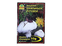 Міцелій гриба Шампіньйон Луговий, 10г