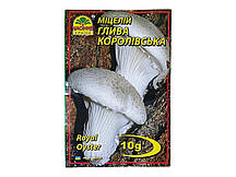 Міцелій гриба Глива Королевська, 10г