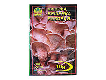 Міцелій гриба Глива рожева, 10г